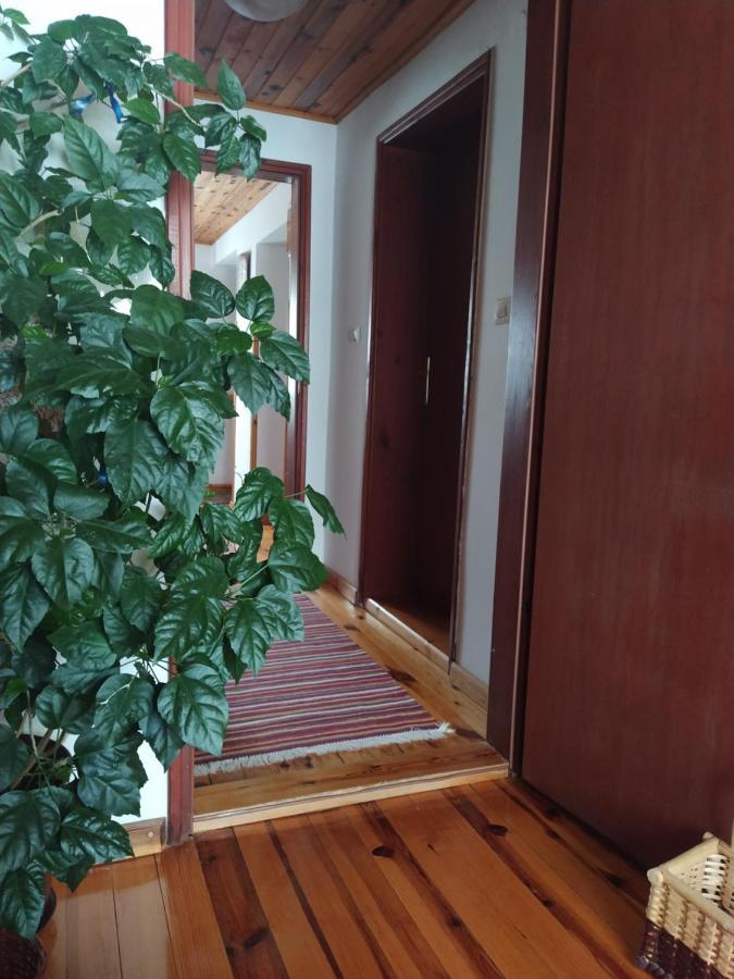 Apartmani Milic Sirogojno Экстерьер фото