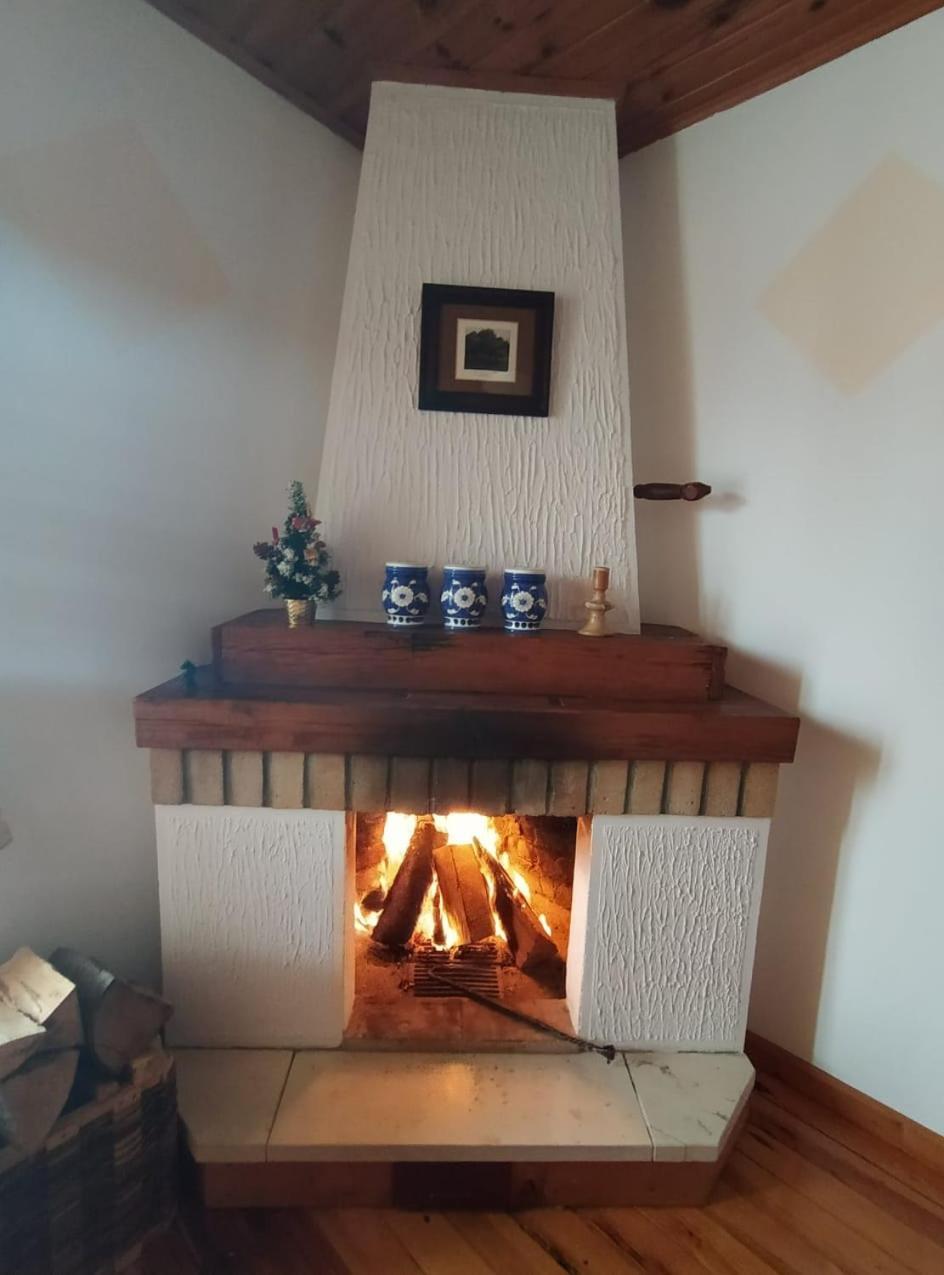 Apartmani Milic Sirogojno Номер фото